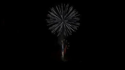 A spectacular display of colorful fireworks bursting in the night sky, creating a festive and celebratory atmosphere.