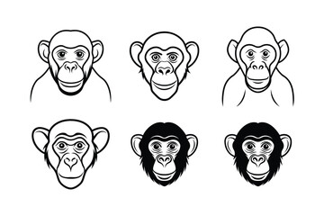 Bonobo (Pan paniscus) animal design, labeled line art vector art illustration.