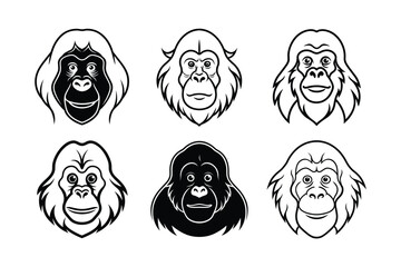 Bornean Orangutan (Pongo pygmaeus pygmaeus) animal design, labeled line art vector art illustration.