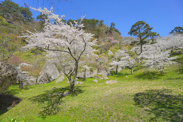きみまち阪県立自然公園