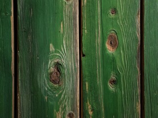 Fototapeta premium Rustic green wooden planks with natural texture