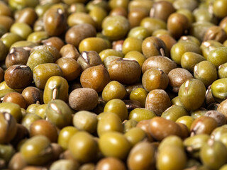 Pattern of the mung bean, close-up, macro photography
