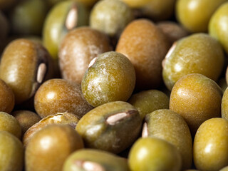 Pattern of the mung bean, close-up, macro photography