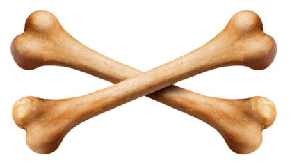 Crossed wooden dog bones on a white isolated background.