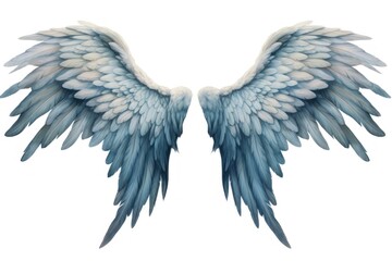 Obraz premium Angel wings bird white background creativity.