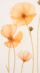 Real pressed california poppy flower petal plant.