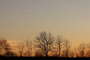 tramonto in inverno con alberi e cielo rosso e nuvole