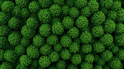 Green Sphere Abstract: A mesmerizing abstract pattern of densely packed, vibrant green spheres creates a captivating visual texture. Perfect for backgrounds, designs, and presentations. 