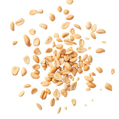 Tasty and nutritious peanuts isolated on transparent white background, clipping path