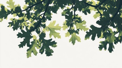Green leaves canopy, sunlit, nature, outdoor, background, website, design