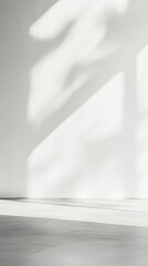 White wall with plant shadows and light on floor.