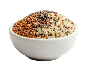 white porcelain bowl filled with colorful mix of grains, including quinoa and various seeds, showcases healthy and nutritious blend