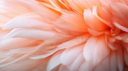 Cascading pink and white feathers, exuding an ethereal beauty with their layered, soft gracefulness and flowing momentum.