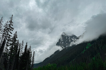A sharp mountain peak rises through thick mist, its rocky slopes streaked with snow. Tall evergreens stand in the foreground, silhouetted against a sky filled with heavy clouds.