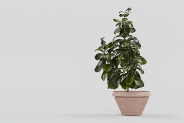 tree leaves nature on white background 3d