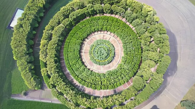 Circular 360-degree video of a knot garden with intricately patterned hedges, soft light, geometric design provides a sense of order and elegance