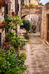 Fototapeta premium view of Spello, Italy.