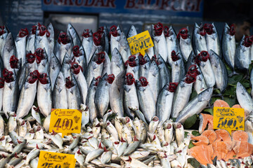 A vibrant display of fresh fish varieties arranged on leaves with price tags, highlighting a...