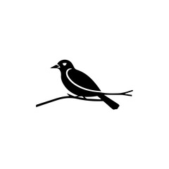 bird logo vector .Business logo concept.Black and white background.
