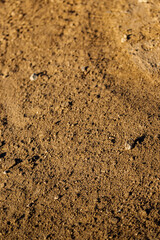 Dirt Texture with Small Rocks