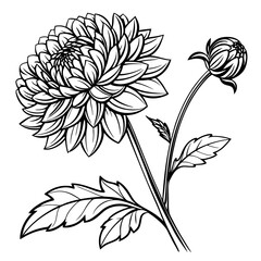 black and white flower