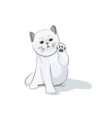 Animal Watercolor Illustration of Cat