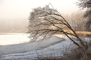 Zimowy, mglisty poranek nad stawem szadź, przymrozek. © mycatherina