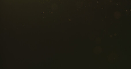 real dust particles floating in air over black background with sunset light