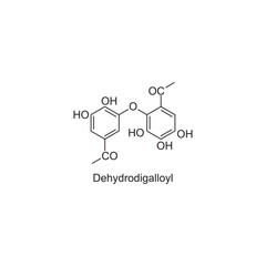 Dehydrodigalloyl skeletal structure.Tannin compound schematic illustration. Simple diagram, chemical structure.