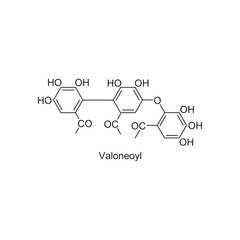Valoneoyl skeletal structure.Tannin compound schematic illustration. Simple diagram, chemical structure.