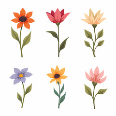 Vector flower collection in simple hand drawn cartoon style. Colorful cute spring flowers set isolated on white. Floral botanical illustration, natural blossom, blooming.