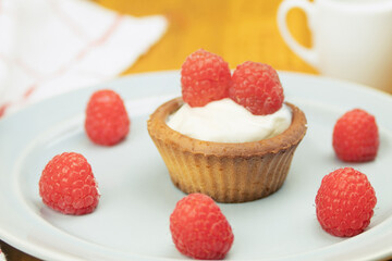 Fresh cupcake sprinkled with powdered sugar. Homemade cupcakes with raspberries. Photo