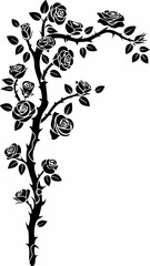 Elegant Rose Vine with Multiple Blooms and Detailed Line Art