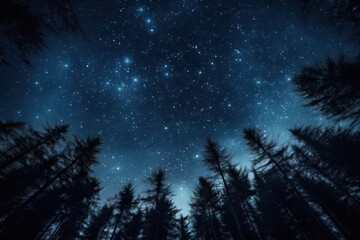 Naklejka premium Night sky in the wood stars trees vegetation.