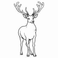Line Art of Deer with Antlers in Nature, Detailed Animal Drawing