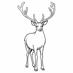 Line Art of Deer with Antlers in Nature, Detailed Animal Drawing