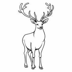 Line Art of Deer with Antlers in Nature, Detailed Animal Drawing
