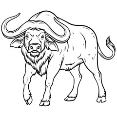 Detailed Line Art of Water Buffalo with Strong Horns and Sturdy Build