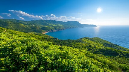 Bright Sunny Coastal Landscape
