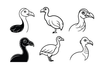 Dodo (Raphus cucullatus) – extinct animal design, labeled line art vector art illustration. © Helal