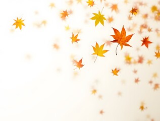 Autumn leaves falling isolated on white background