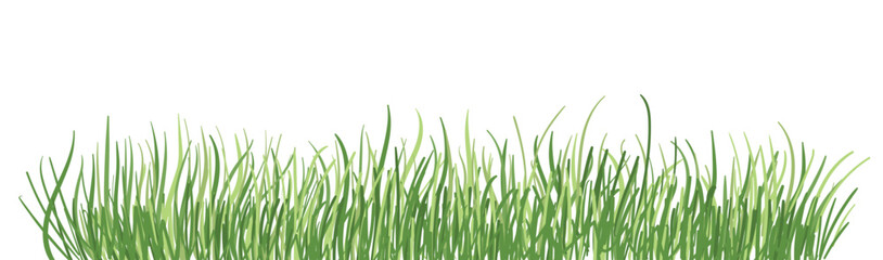 Bright green grass as a border or frame for Easter gifts, eggs, rabbits. Template for a postcard or design of a happy Easter. Vector illustration of summer fresh grass on a transparent background.