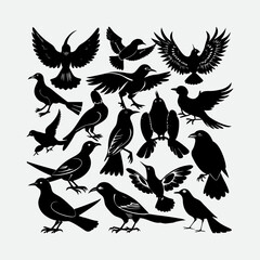 Obraz premium Vector parrot silhouettes of amazon jungle. falcons and hawks set spread wings, isolated on white background