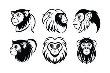 Emperor Tamarin (Saguinus imperator) animal design, labeled line art vector art illustration.