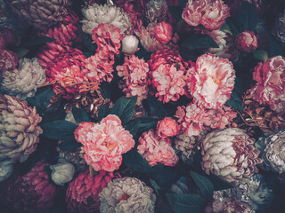 A lush arrangement of pink, red, and white flowers.  Dark green foliage provides a rich backdrop....