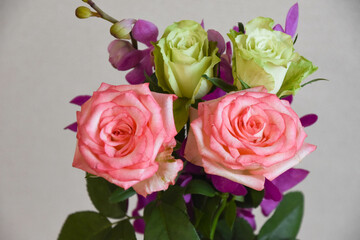 薔薇とアランダ