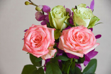 薔薇とアランダ