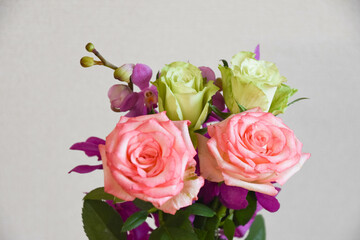 薔薇とアランダ