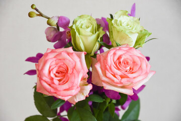 薔薇とアランダ