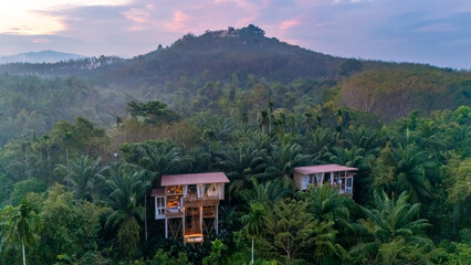 Two charming treehouses rise among the vibrant green foliage, offering a tranquil escape in the heart of Thailand or Balis stunning landscapes, ideal for nature lovers seeking adventure.